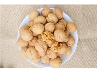 Walnut
